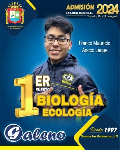 15. franco_mauricio_ancco_laque